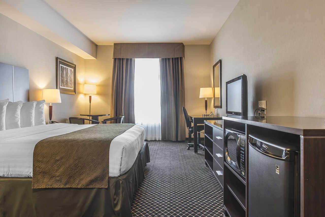 Quality & Hotel