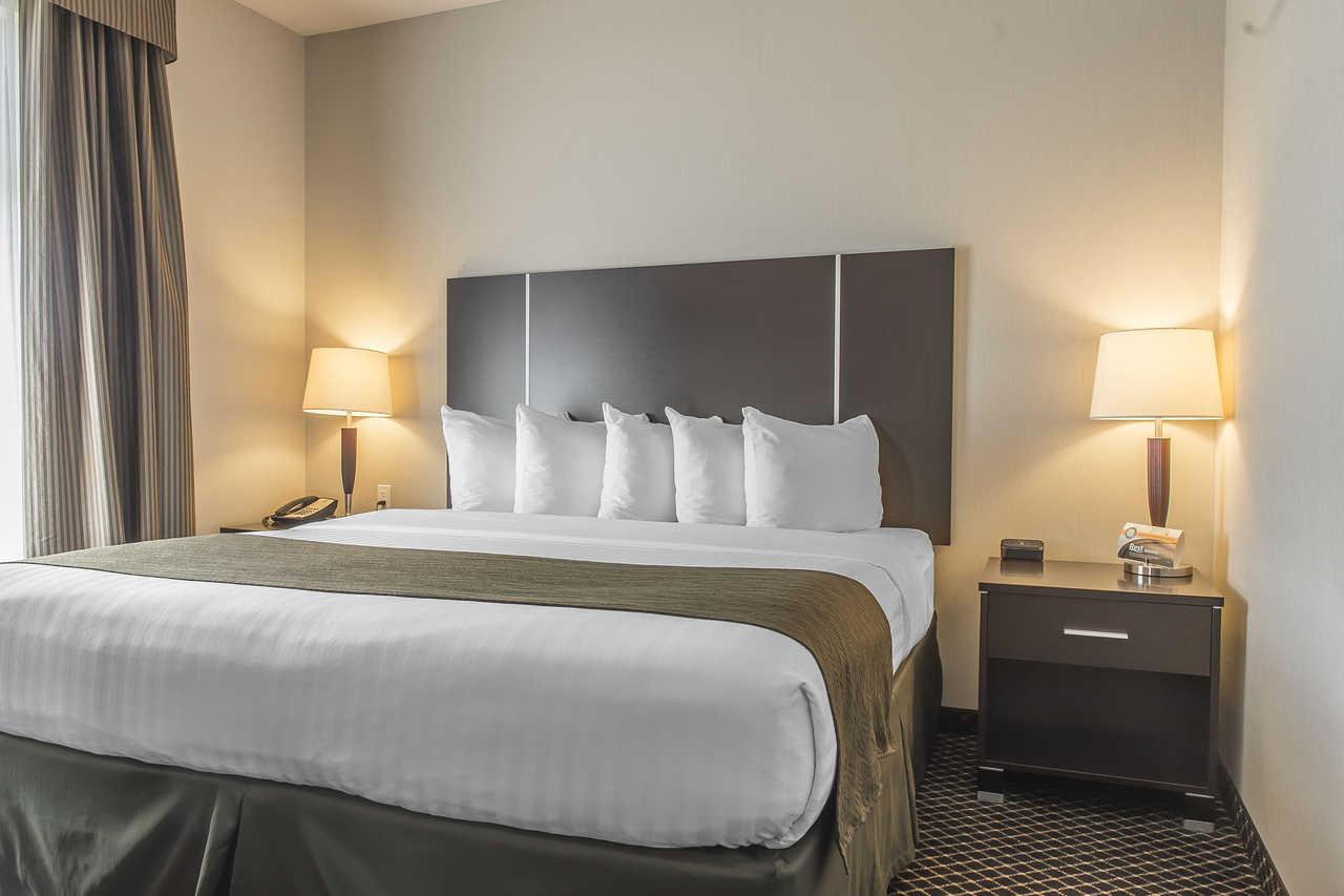 Quality & Hotel